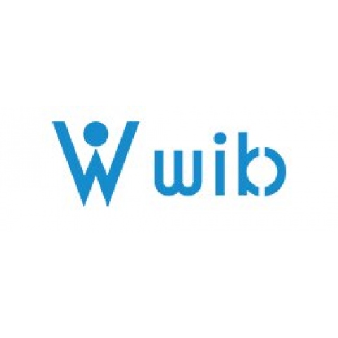 WIB PRZEDSIĘBIORSTWO PRYWATNE