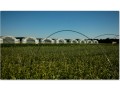 Gospodarstwo Ogrodnicze Global Plants
