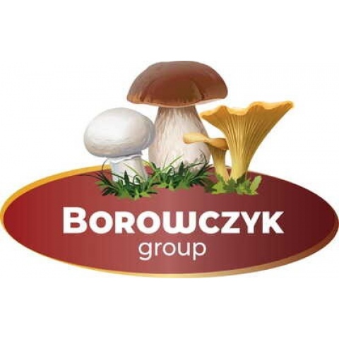 U BORÓWEK