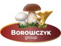 U BORÓWEK