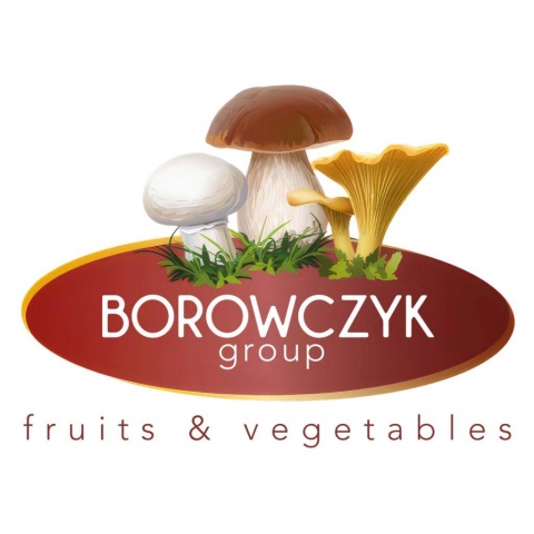 U BORÓWEK